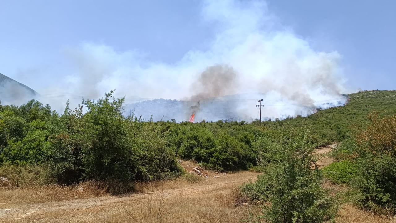 Δήμος Άργους - Μυκηνών: Πυρκαγιά στη Λυρκεία!