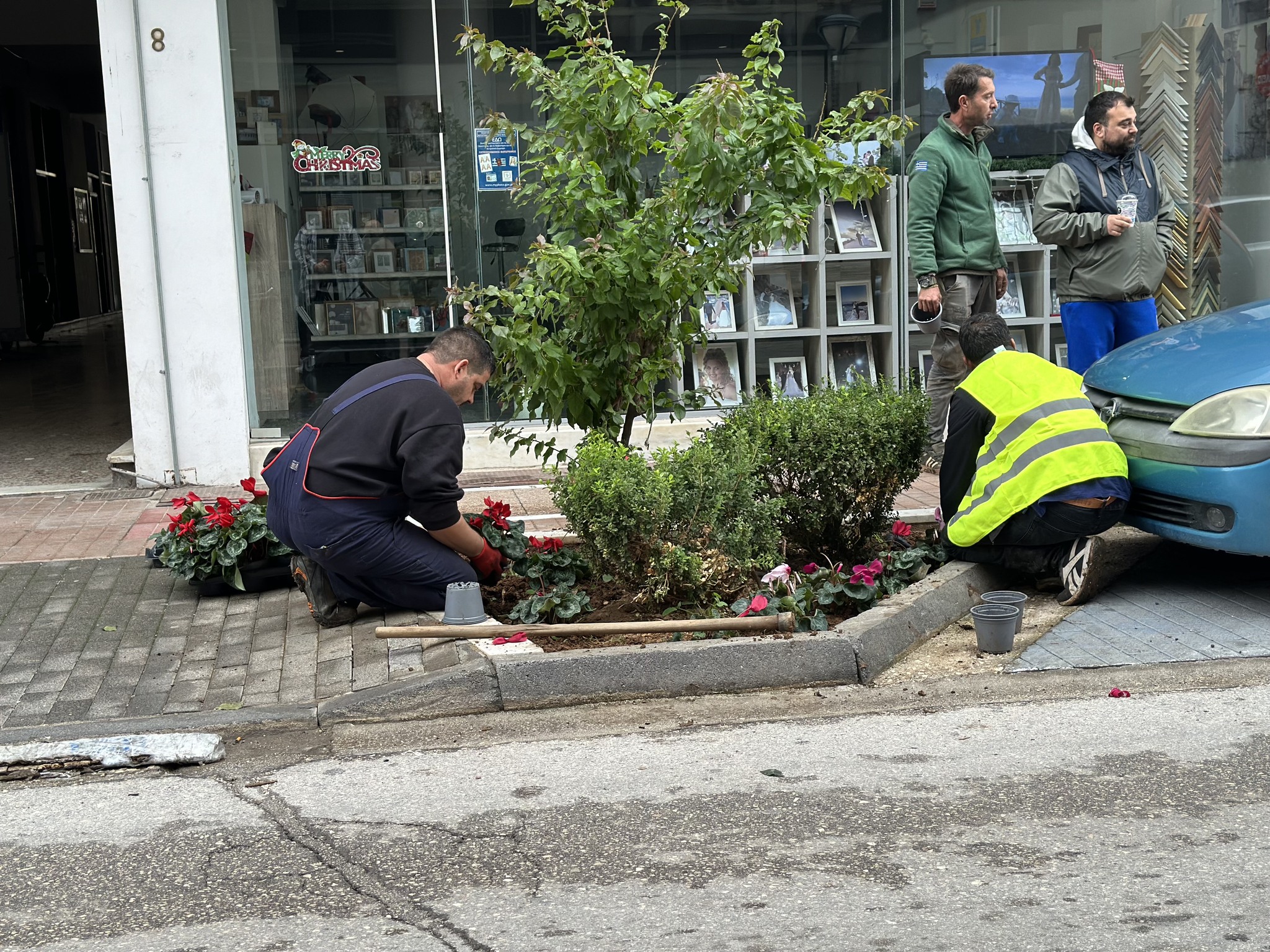 Άργος: Εργασίες Φύτευσης Παρτεριών σε κεντρικές οδούς, σε Πλατείες και σε κοινόχρηστους χώρους της πόλης.