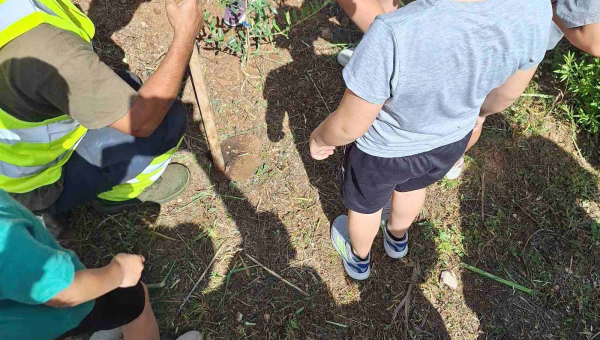 Δενδροφύτευση σε  σχολεία του Δήμου Άργους – Μυκηνών με πρωταγωνιστές τους μαθητές