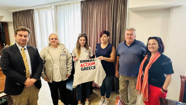 Καταγραφή και στείρωση αδέσποτων: Νέα πρωτοβουλία στον Δήμο Άργους – Μυκηνών